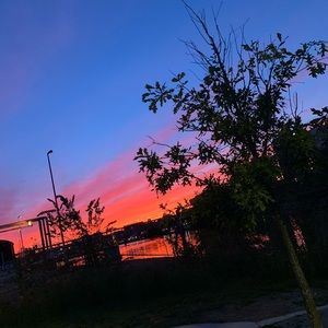 Meet your Posher, Raven